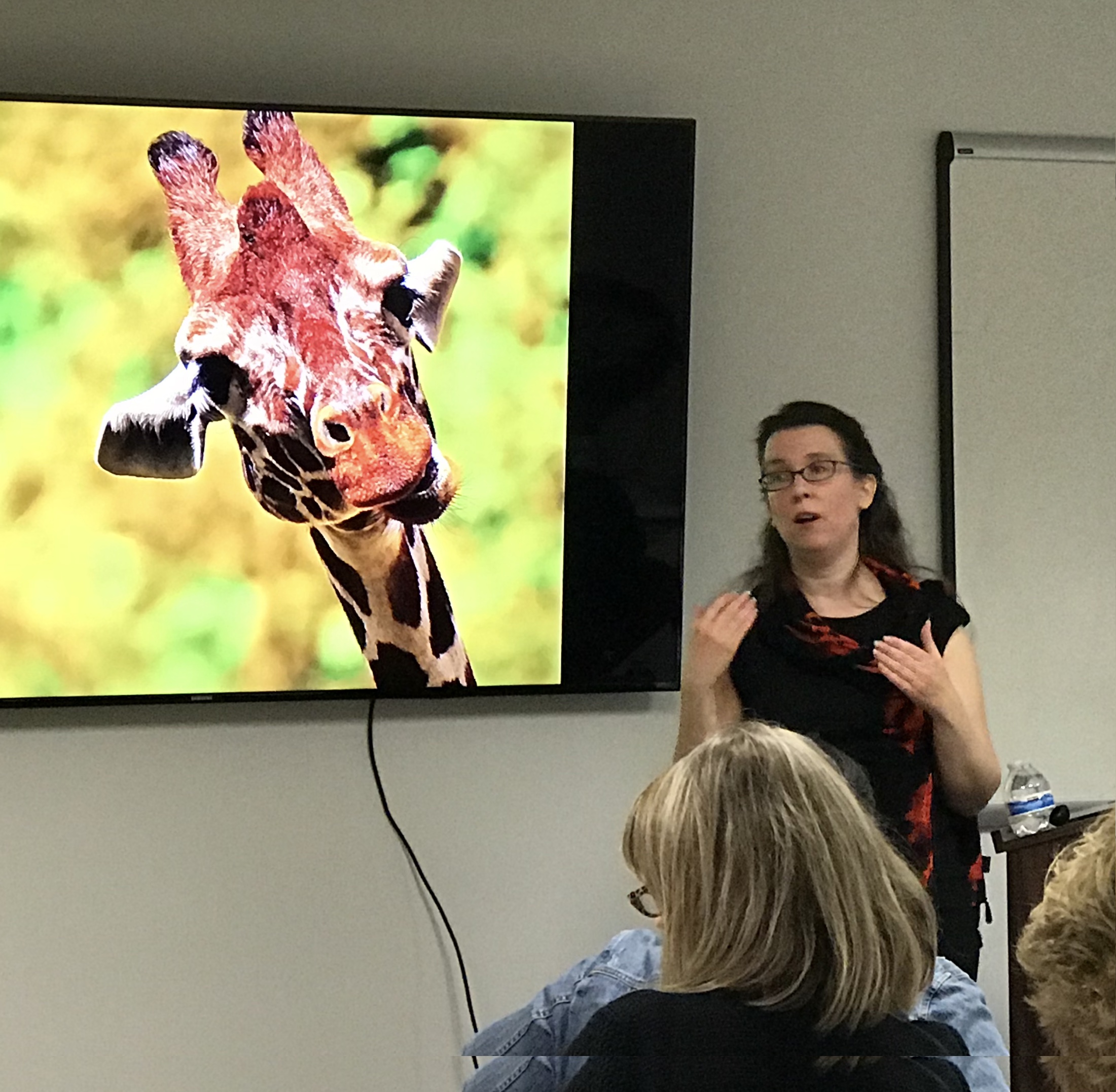 Debbie Finkelstein gesturing while leading a training session